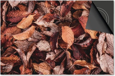 Inductie beschermer 60x60 - afdekplaat inductie mat - Dietrix Kookplaat beschermer - Exclusief - Herfst - Herfst bladeren