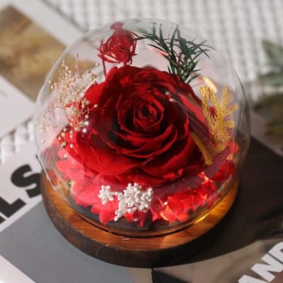 Dailygoods - Eeuwige Roos in Glazen Kap met Houten Sokkel als Cadeau