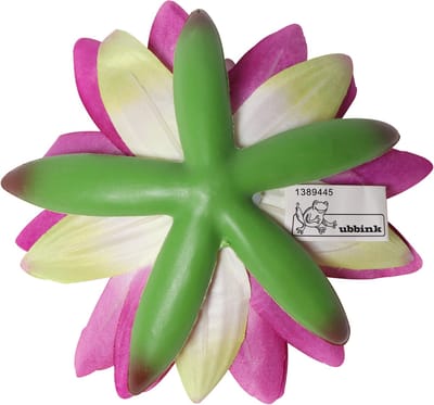 Ubbink Waterlelie zonder blad
