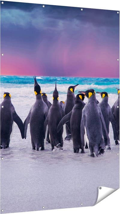 Gards Tuinposter Groep Pingu�ns bij het Water - Kudde - 120x180 cm - Tuindoek - Tuindecoratie - Wanddecoratie buiten - Tuinschilderij