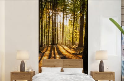 Behang - Fotobehang Zon - Bomen - Bos - Landschap - Natuur - Breedte 120 cm x hoogte 240 cm