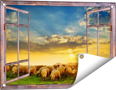 Gards Tuinposter Doorkijk Kudde Schapen op het Gras bij Zonsondergang - 60x40 cm - Tuindoek - Tuindecoratie - Wanddecoratie buiten - Tuinschilderij