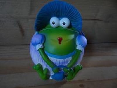 Spaarpot kikkervrouw/kikkermeneer