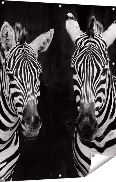 Gards Tuinposter Twee Zebra's - Zwart Wit - 90x120 cm - Tuindoek - Tuindecoratie - Wanddecoratie buiten - Tuinschilderij