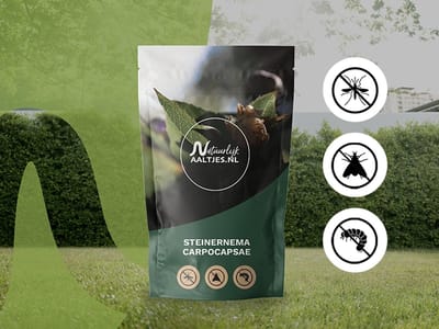 Aaltjes tegen emelten, buxusmot & rupsen - Steinernema carpocapsae nematoden - 10 miljoen / 20 m² - biologisch & gifvrij
