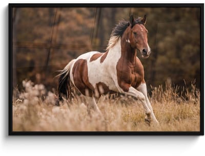 Poster in lijst - Fotolijst 120x80 cm - Posters - Paard - Bruin - Gras - Posterlijst zwart - Decoratie - Wanddecoratie woonkamer - Muurdecoratie slaapkamer