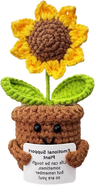 Emotionele Ondersteunende Plant voor Kerst, Positieve Bloem voor Herstel en Bedankjes voor Vrouwen en Mannen, Perfecte Cadeaus voor Moeders, Leraren en Vrienden