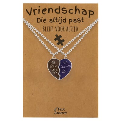 BFF Ketting voor 2 'Vriendschap die altijd past' - Magnetisch Hartje - VERANDERT VAN KLEUR! - Vriendschapsketting op Cadeau Kaartje - 45cm + 5cm verstelbaar - Zilverkleurig - Best Friends Hanger - Pax Amare