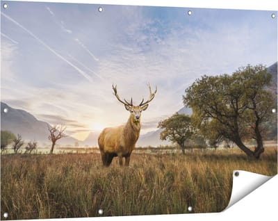 Gards Tuinposter Hert in het Landschap - 120x80 cm - Tuindoek - Tuindecoratie - Wanddecoratie buiten - Tuinschilderij