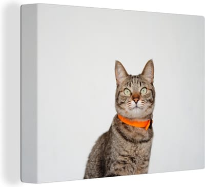 Canvas Schilderij Kat - Halsband - Oranje - Meisjes - Kinderen - Jongens - Kids - 80x60 cm - Wanddecoratie