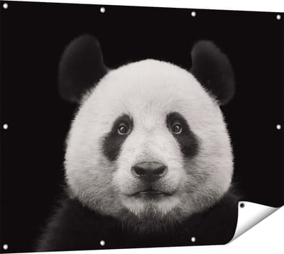 Gards Tuinposter Panda - Pandakop - 120x90 cm - Tuindoek - Tuindecoratie - Wanddecoratie buiten - Tuinschilderij