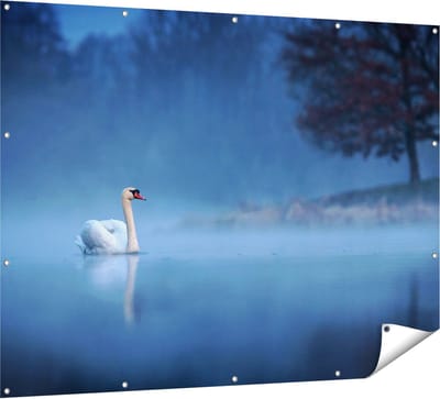 Gards Tuinposter Zwaan op het Water tussen de Mist - 160x120 cm - Tuindoek - Tuindecoratie - Wanddecoratie buiten - Tuinschilderij
