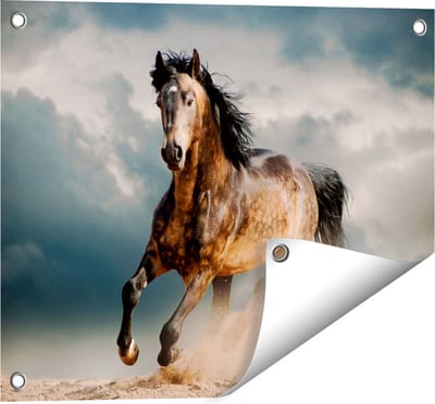 Gards Tuinposter Wilde Paard in het Zand - 50x40 cm - Tuindoek - Tuindecoratie - Wanddecoratie buiten - Tuinschilderij