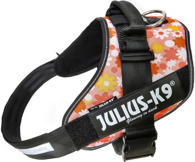 Julius-K9 IDC®Powertuig, 2XL - maat 3, roze met bloemen