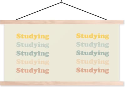 Posterhanger incl. Poster 120x60 cm - Schoolplaat - Quotes - Studenleven - Leren - Studenten - Textielposter - Blanke latten