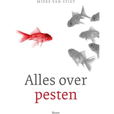 Alles Over Pesten - Mieke van Stigt