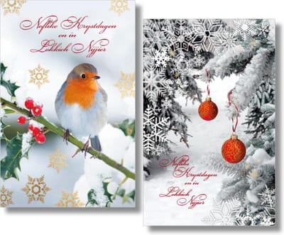MGPcards - 20 Luxe dubbele wenskaarten - Friese tekst - Kerstkaarten / Nieuwjaar - Foliebewerking - Witte envelop - 10.5 x 16 cm - 2 Motieven per doosje