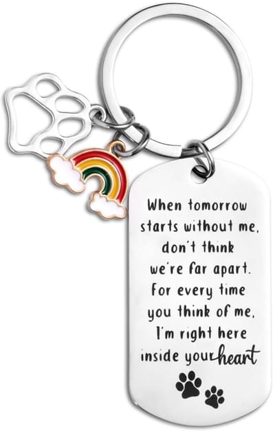 Dailygoods- Herdenkingssleutelhanger Zilver - Poot/Brug - Sympathie Geschenken - Honden/Kat - Roestvrij Staal - 5x2,7cm Label - Herdenkingsgift