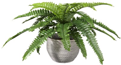 Kunstplant Nephrolepis H35cm in mand grijs – HTT Decorations kunstplanten