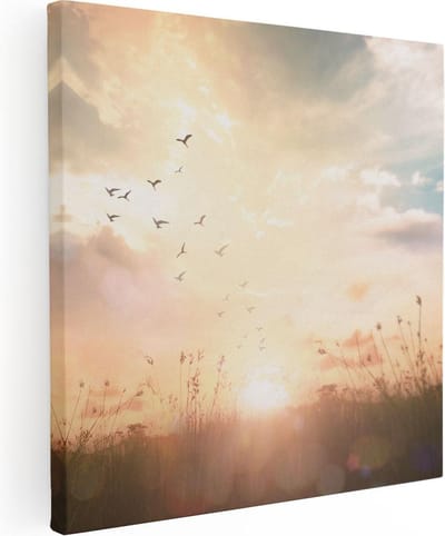 Artaza Canvas Schilderij Zonsondergang - 80x80 cm - Wanddecoratie Vogels - Muurdecoratie Natuur - Schilderijen Op Canvas Landschap
