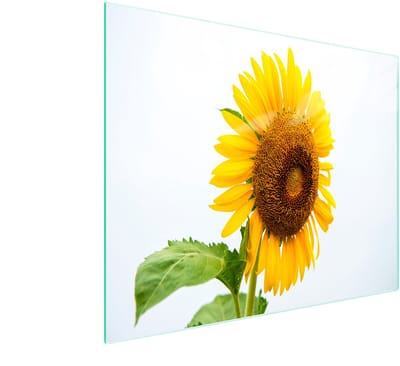 TMK ArtDeko Serie - Snijplank van Gehard Glas - 52x30cm - Kleurig Bloemenpatroon
