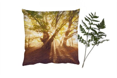 Sierkussens - Kussentjes Woonkamer - 40x40 cm - Boom - Bos - Zon