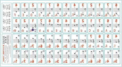 Pianotoetsen Stickers - Piano Noten - Muziek Leren - Kleuren Direct Herkenbaar - 262 x 145 mm - Transparant