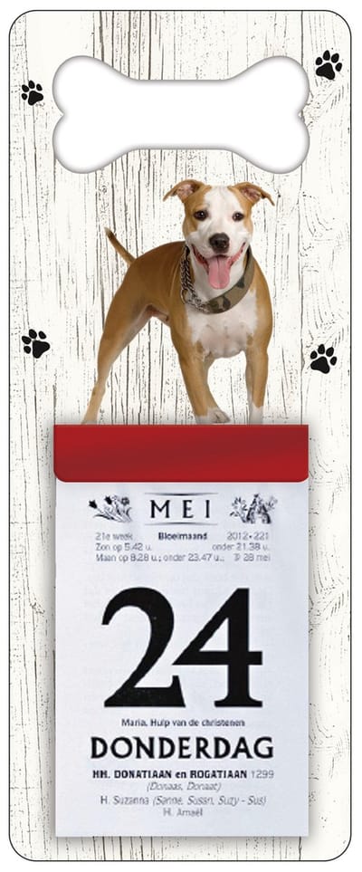 Scheurkalender 2024 Hond: Amerikaanse Staffordshireterrier