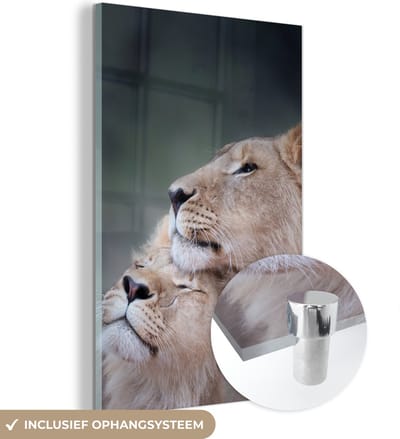 MuchoWow® Glasschilderij 40x60 cm - Schilderij acrylglas - Leeuw - Wilde dieren - Big Five - Foto op glas - Schilderijen