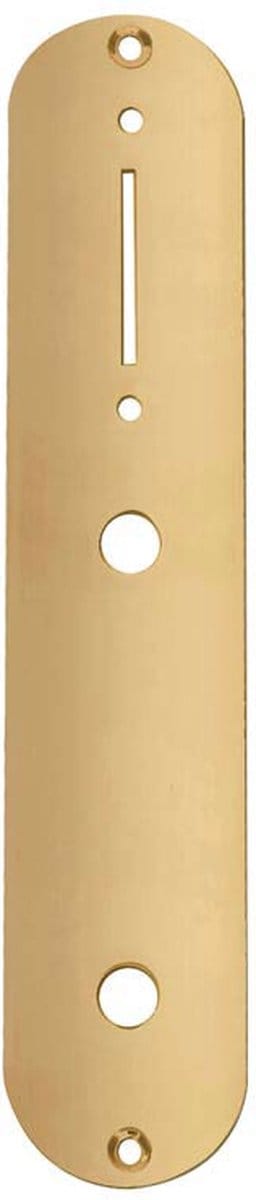 Boston CP-TE-G Controleplaat Goud 32x160mm voor Metrische Potmeters