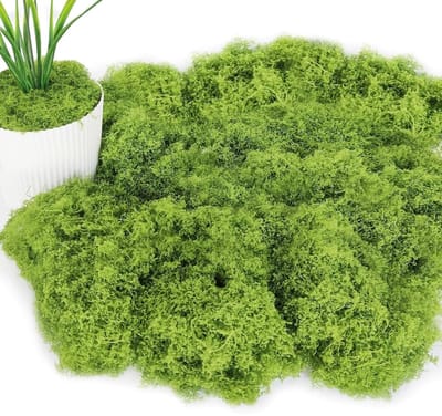 Dailygoods- Kunstmos 100 g - IJslands Mos - Decoratie Mos - Kunstmos voor Knutselen - Natuurlijke Simulatie - Pluizige Textuur - Decoratiemateriaal