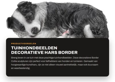 Dailygoods- Tuinhondbeeld Levensecht - Border Collie Sculptuur - Tuinbeelden voor Buiten - Tuindecoratie - Kunsthars - Weerbestendig