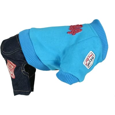 Sweatshirt en broek voor honden Martin Sellier US AE