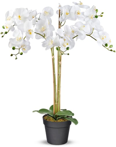 Kunstplant Orchidee / Phalaenopsis XXL 5-tak wit H90cm - HTT Decorations kunstplanten