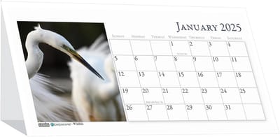 Desktop Kalender 2025 - Maandelijks Overzicht met Wildlife Foto's - Stevige Tent Stijl