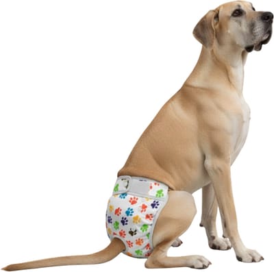 Loopsheidbroekje hond - pootjes wit - maat XXL - voor grote honden - herbruikbaar - hondenbroekje - hondenluier - loopsheid - ongesteldheid - voorkomt ongewenste zwangerschappen bij teefjes - milieuvriendelijk - verantwoord - perfecte pasvorm