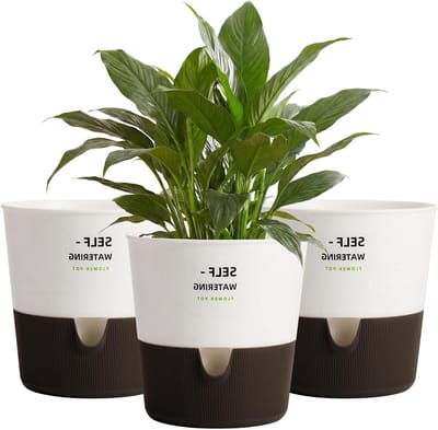 Bamworld 3 Stuks Zelfwaterende Potten voor Binnen 16,5 cm Plantpotten Binnen met Afvoergaatjes Moderne Plantpotten voor Binnenplanten Kamer Kantoor Decoratie(vit)