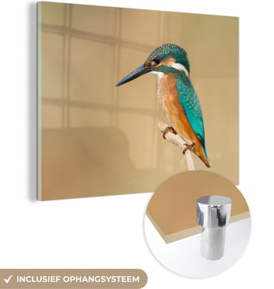 MuchoWow® Glasschilderij 40x30 cm - Schilderij acrylglas - IJsvogel - Dieren - Vogel - Foto op glas - Schilderijen