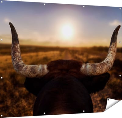 Gards Tuinposter Stierenhoorns bij Zonsondergang - 150x120 cm - Tuindoek - Tuindecoratie - Wanddecoratie buiten - Tuinschilderij