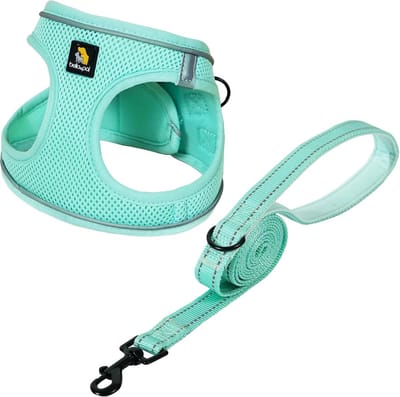 Stunq® Ademend en Reflecterend Harnas voor Kleine Honden en Katten met Lijn - Maat XS, Mintkleurig