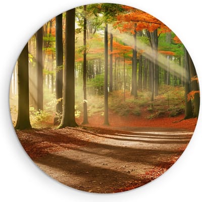 Saammp Muurcirkel Hout - Pad door het bos - Herfst - Zon - Landschap - Natuur - Ø 90 - Wandcirkel - Wanddecoratie Cirkel - Muurdecoratie Woonkamer - Slaapkamer decoratie - Rond Schilderij