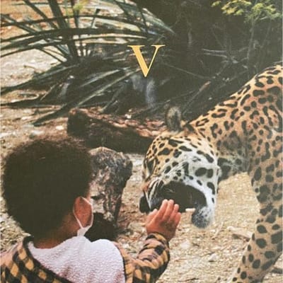 Unknown Mortal Orchestra - V (2 LP)