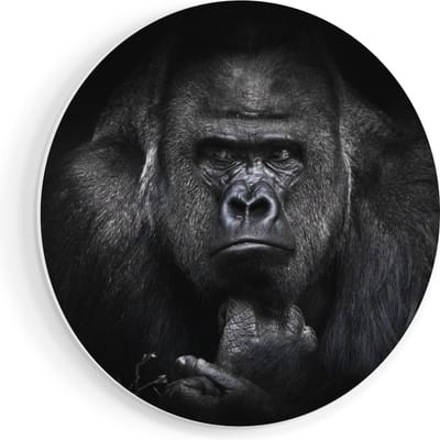 Artaza Forex Muurcirkel Gorilla - Zwart Wit - 70x70 cm - Wandcirkel - Rond Schilderij - Wanddecoratie Cirkel - Muurdecoratie