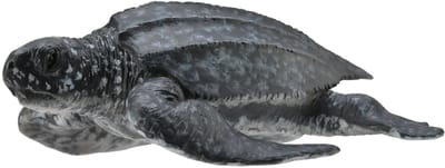 COLLECTA Figurine - Lederschildpad - (M) - Zeedieren - Handgeschilderd - Miniatuur