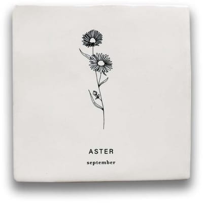 Maan Amsterdam - Tegeltje geboortebloem - September - Aster - Kraamcadeau - Geboortebloem cadeau - Wanddecoratie