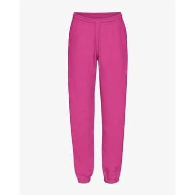 Jogging Colorful Standard Magenta Blaze