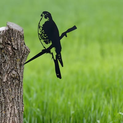 Birdzone - Metalbird - Sperwer - Tuindecoratie - metalen vogels - metal bird - Vogeldecoratie - 25 x 16 cm - Metalen Vogels Tuindecoratie - Boomdecoratie