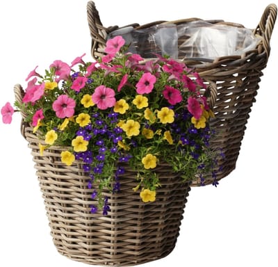 VD Leeden Plantenmand Klassiek - 2x - rond - bruin - 25 x 19 cm - rotan - gevlochten riet - bloempot