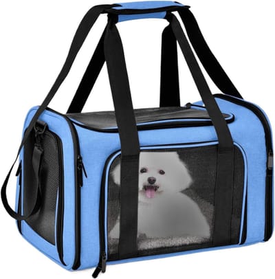 Draagtas Huisdieren - Reistas Kat - Veilig Vervoer - Ademend Mesh Materiaal - 40x25x25 cm - Blauw