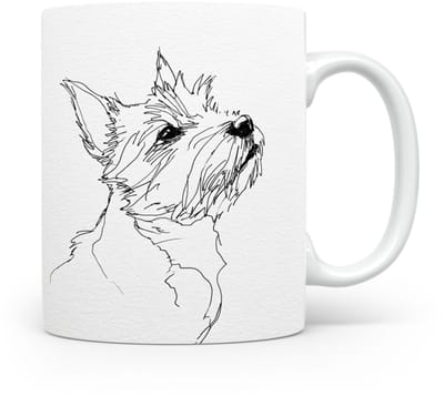 Beker Norwich Terrier